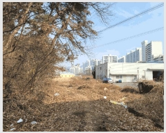  2024Ÿ��120462  ������