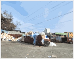  2024Ÿ��120462  ������