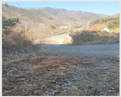  2024Ÿ��612 �泲 ���� ������ ������ 217      ����(�Ӿ�)���