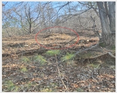  2024Ÿ��612 �泲 ���� ������ ������ 217      ����(�Ӿ�)���