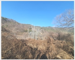  2024Ÿ��612 �泲 ���� ������ ������ 217      ����(�Ӿ�)���