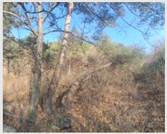  2024Ÿ��612 �泲 ���� ������ ������ 217      ����(�Ӿ�)���