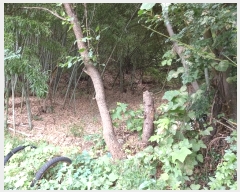  2024Ÿ5471  ֱ ̸ õ 57-18      (Ӿ)