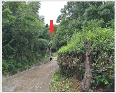  2024Ÿ5471  ֱ ̸ õ 57-18      (Ӿ)