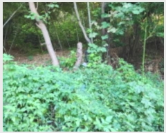  2024Ÿ5471  ֱ ̸ õ 57-18      (Ӿ)