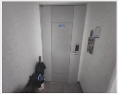  2024Ÿ6313 泲   ޱ 203, 151506ȣ (븣̾ħ)    Ʈ