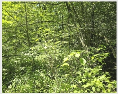  2024Ÿ6429  ֱ ¾  84-2      (Ӿ)