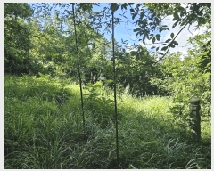  2024Ÿ6429  ֱ ¾  84-2      (Ӿ)