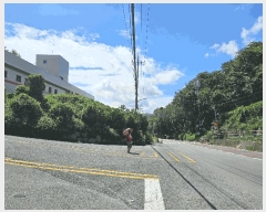  2024Ÿ6429  ֱ ¾  84-2      (Ӿ)