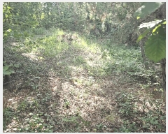  2024Ÿ6429  ֱ ¾  84-2      (Ӿ)