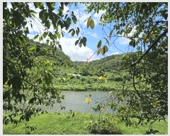  2024Ÿ6429  ֱ ¾  84-2      (Ӿ)