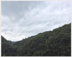  2024Ÿ6429  ֱ ¾  84-2      (Ӿ)