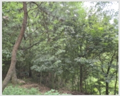  2024Ÿ6429  ֱ ¾  84-2      (Ӿ)