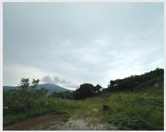  2024Ÿ��7231 ��� ���ֱ� �ε��� ������ 23-17      ����(�Ӿ�)���