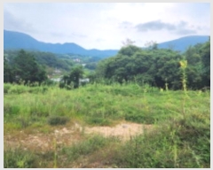  2024Ÿ��7231 ��� ���ֱ� �ε��� ������ 23-17      ����(�Ӿ�)���