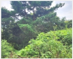  2024Ÿ��7231 ��� ���ֱ� �ε��� ������ 23-17      ����(�Ӿ�)���