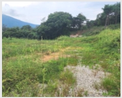  2024Ÿ��7231 ��� ���ֱ� �ε��� ������ 23-17      ����(�Ӿ�)���