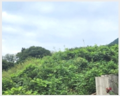  2024Ÿ��7231 ��� ���ֱ� �ε��� ������ 23-17      ����(�Ӿ�)���