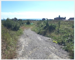  2024Ÿ8289  ֱ  žϸ 232      ()