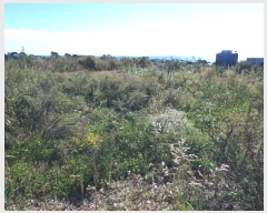  2024Ÿ8289  ֱ  žϸ 232      ()