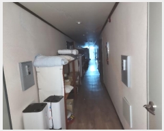  2024Ÿ100383  ֱ ϸ  540-4      ڽü,,ȣ,