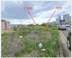  2024Ÿ106190  ϱ ȣ赿 987-8       ()