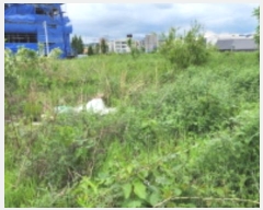  2024Ÿ106190  ϱ ȣ赿 987-8       ()