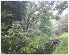  2024Ÿ114054  ֱ ﵿ ϸ 37      (Ӿ)