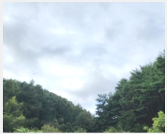  2024Ÿ114054  ֱ ﵿ ϸ 37      (Ӿ)