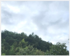  2024Ÿ114054  ֱ ﵿ ϸ 37      (Ӿ)