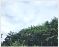  2024Ÿ114054  ֱ ﵿ ϸ 37      (Ӿ)