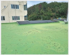  2024Ÿ��116623 ��� �߱� �ٿ 542-6       �ܵ�����,�����ð��