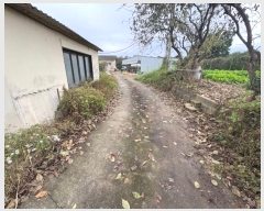  2024Ÿ��117671 ��� ���ֱ� �ﳲ�� ������ 150-1      ���(�󰡽ü�)���