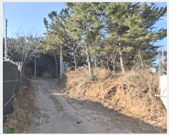  2024Ÿ��119721  �Ӿ߰��