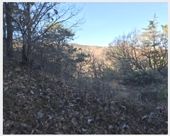  2024Ÿ��119721  �Ӿ߰��