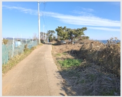  2024Ÿ��119721  �Ӿ߰��