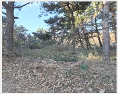  2024Ÿ��119721  �Ӿ߰��