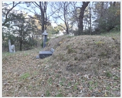  2024Ÿ��119721  �Ӿ߰��