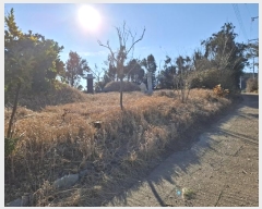  2024Ÿ��119721  �Ӿ߰��