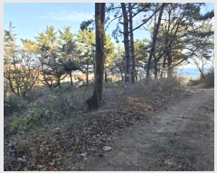  2024Ÿ��119721  �Ӿ߰��