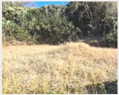  2024Ÿ120424  ֱ   2-4      (1)