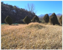  2024Ÿ120424  ֱ   2-4      (1)