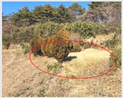  2024Ÿ120424  ֱ   2-4      (1)