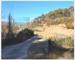  2024Ÿ120424  ֱ   2-4      (1)