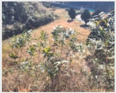  2024Ÿ120424  ֱ   2-4      (1)