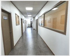  2024Ÿ1202  ֱ  õ 1104-19      