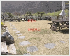  2024Ÿ��2267 ��� ���ֱ� ���̸� ��õ�� 786-3      ����(�Ӿ�)���