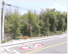  2024Ÿ��2267 ��� ���ֱ� ���̸� ��õ�� 786-3      ����(�Ӿ�)���