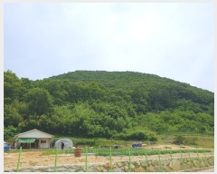  2024Ÿ4904  ֱ  ô 152-10      (Ӿ)