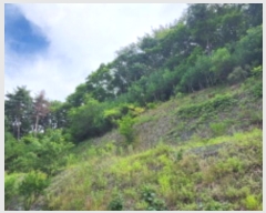  2024Ÿ4904  ֱ  ô 152-10      (Ӿ)